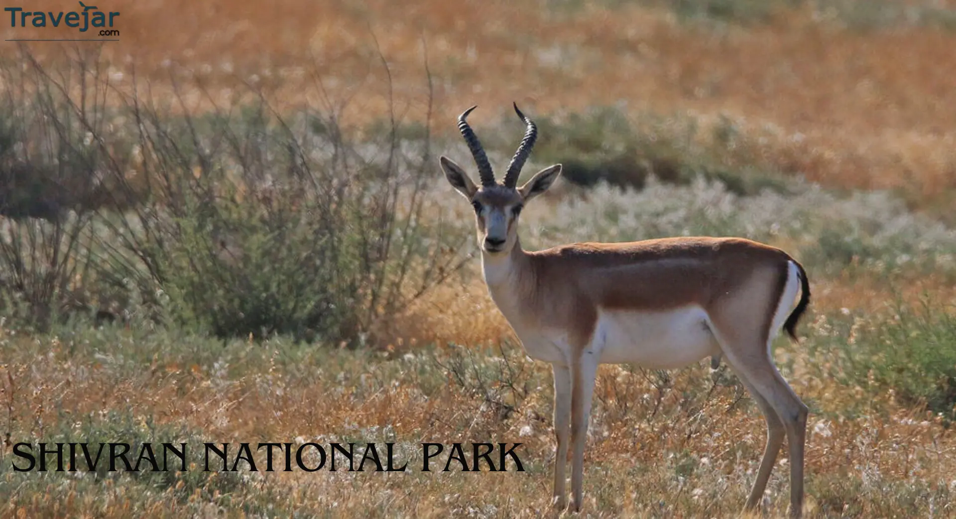Shivran National Park azerbaijan